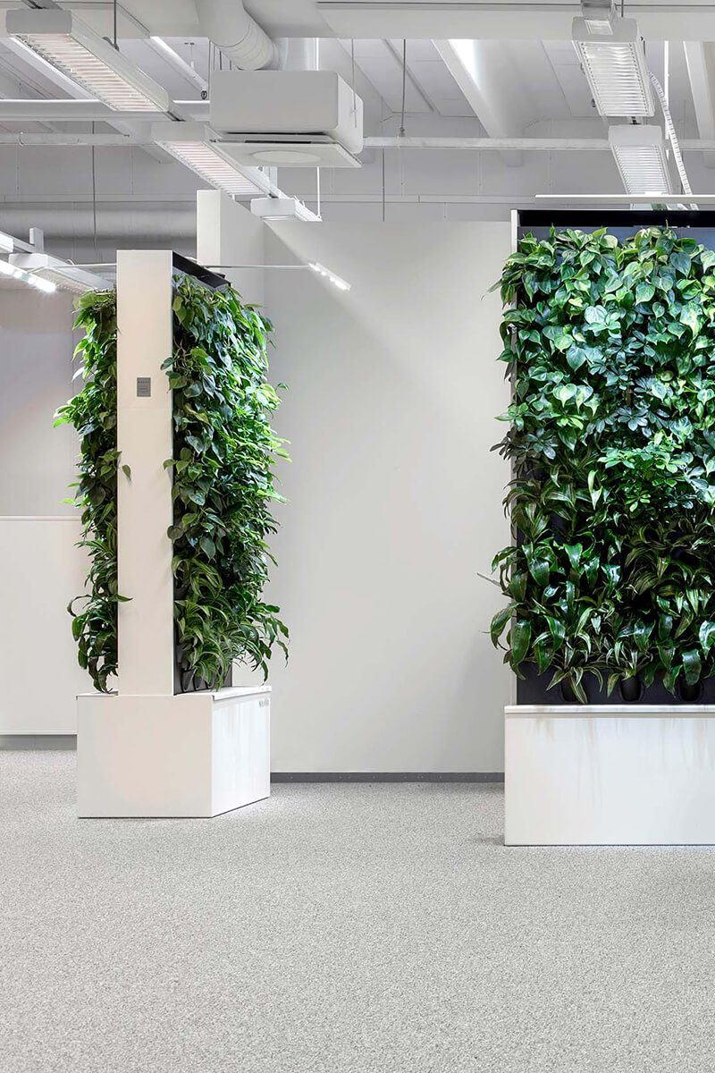 Naava Duo green wall as a space divider