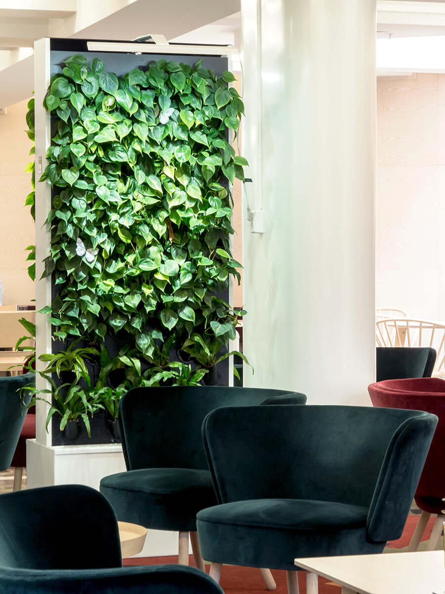 Naava Duo green wall with living plants(1)