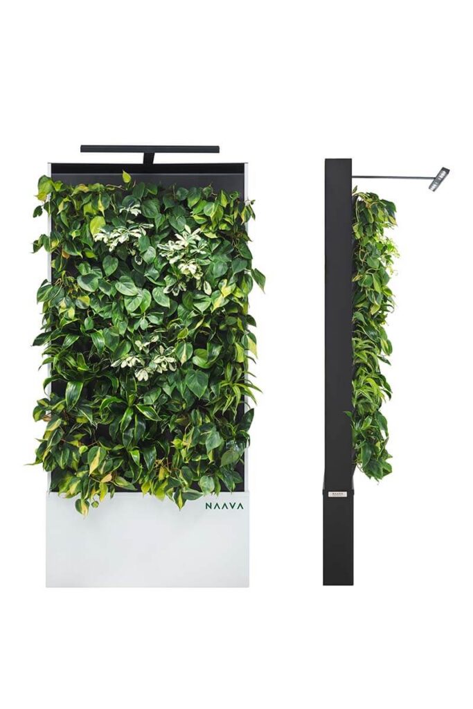 Naava One Slim green wall with living plants