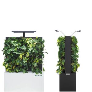 Naava Flow Duo automatic design planter